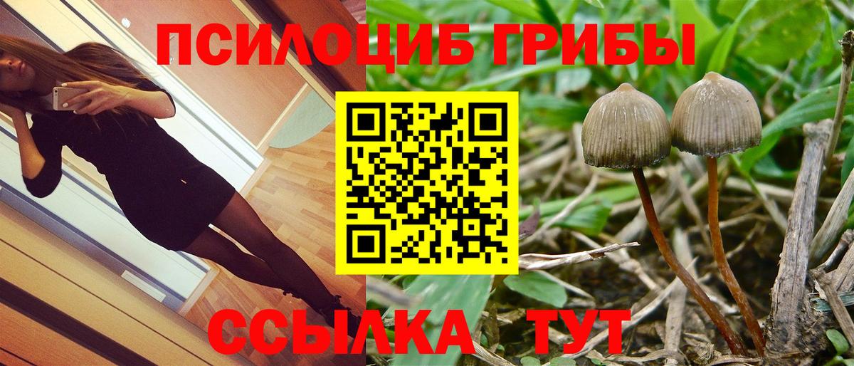 Татарск  Галлюциногенные грибы GOLDEN TEACHER  Псилоцибиновые грибы мухоморы  наркота  Вход с VPN 