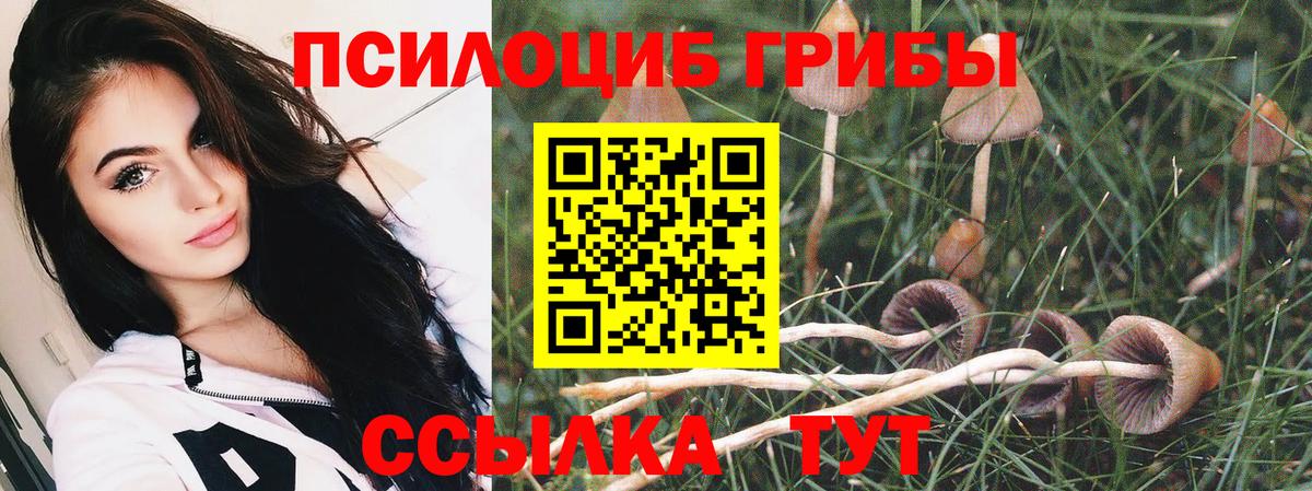 Псилоцибиновые грибы ЛСД Татарск